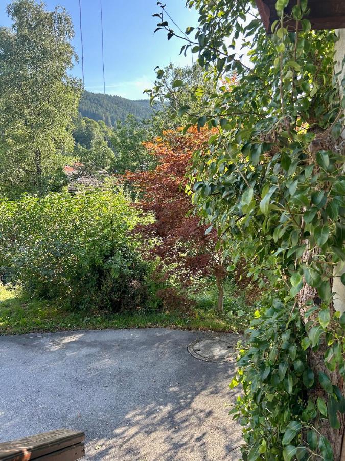 Apartment Huberspitz - Ruhe, Berge & Natur ハウスハム エクステリア 写真